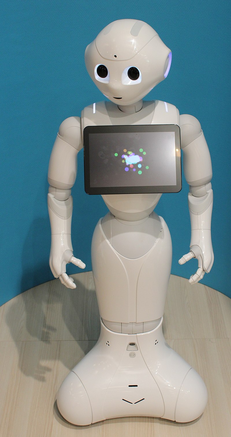 robot for rent cruzr